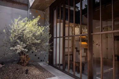 The courtyard of M-Mulan studio with tree and a wooden frame glass window.